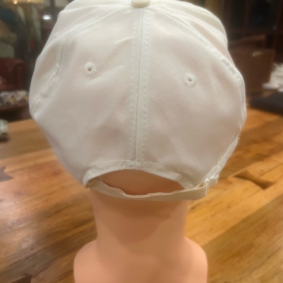 Destroy the Patriarchy Not the Planet ball cap - Picture 4 of 8